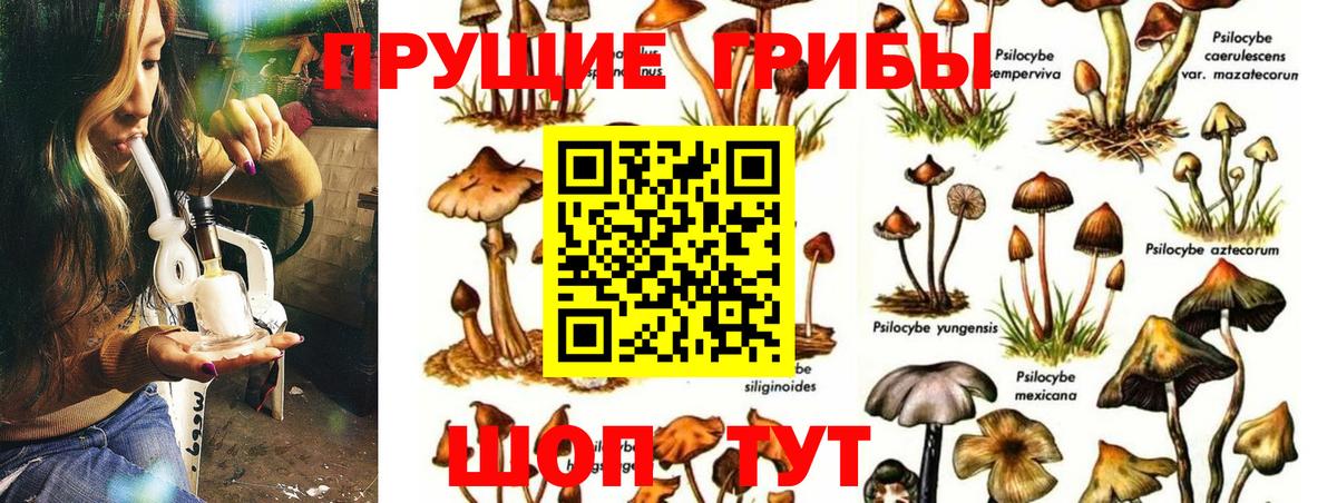Галлюциногенные грибы MAGIC MUSHROOMS Сергиев Посад